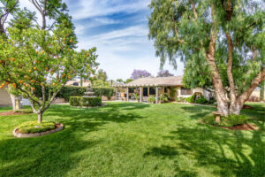 17 Backyard with large green grass area surrounded by trees